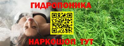 прущие грибы Лесосибирск