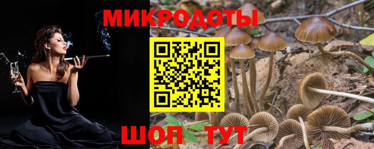 Псилоцибиновые грибы ЛСД  Вход с VPN  Гурьевск 